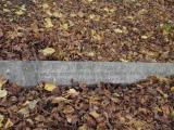 image of grave number 199234